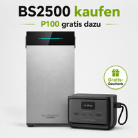 ALLPOWERS BS2500 Pro Plug-and-Play-Solaranlage