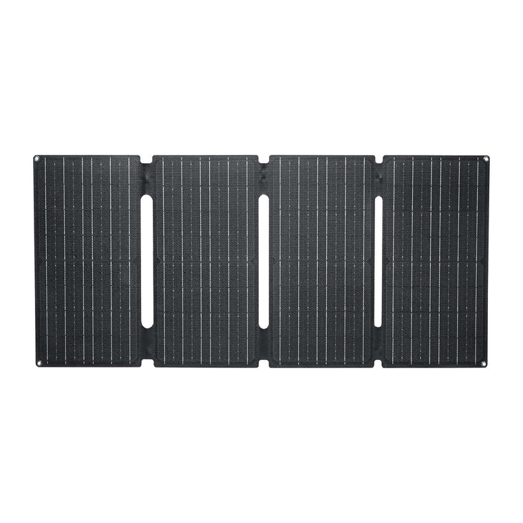 60W Solarpanel SE60