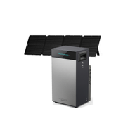 BS2500 Pro + 1x 200W Laminated Solar Panel (SE200)