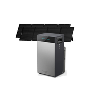 BS2500 Pro + 2x 200W Laminated Solar Panel (SE200)